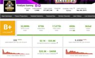 FireEyes Gaming's monthly income (Image via Social Blade)